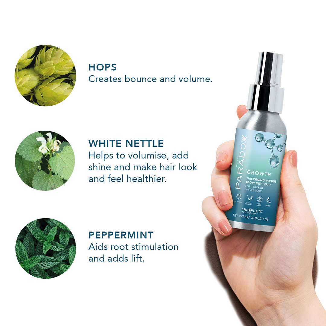 We Are Paradox Thickening Volume Blow Dry Spray 100ml